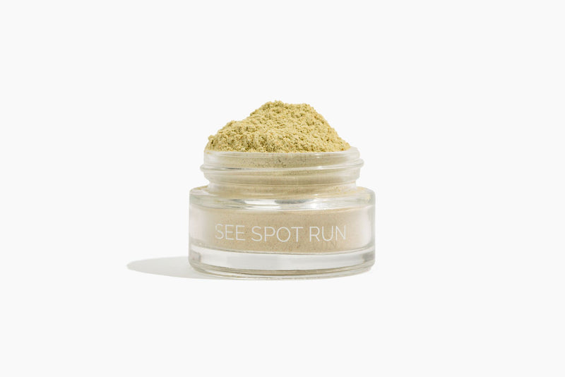 See Spot Run Mini | Face Mask
